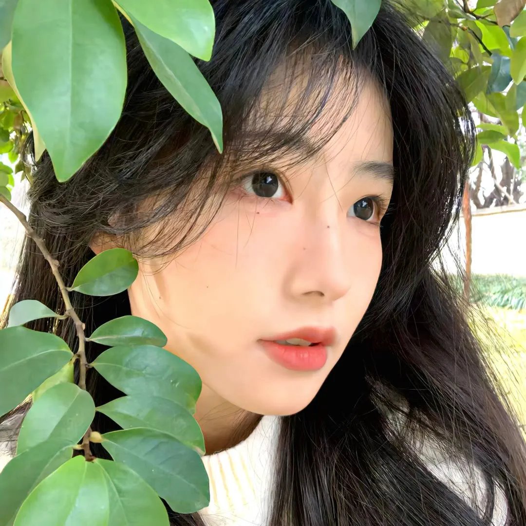 快乐妓女